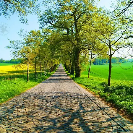 Mönchgut 1 Mit Wintergarten Und Terrasse *