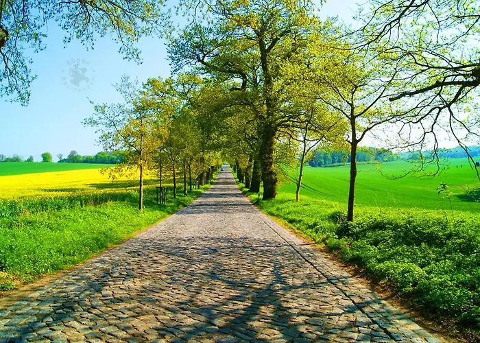 Moenchgut 1 Mit Wintergarten Und Terrasse 4*